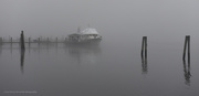14th Dec 2015 - Fog on the river