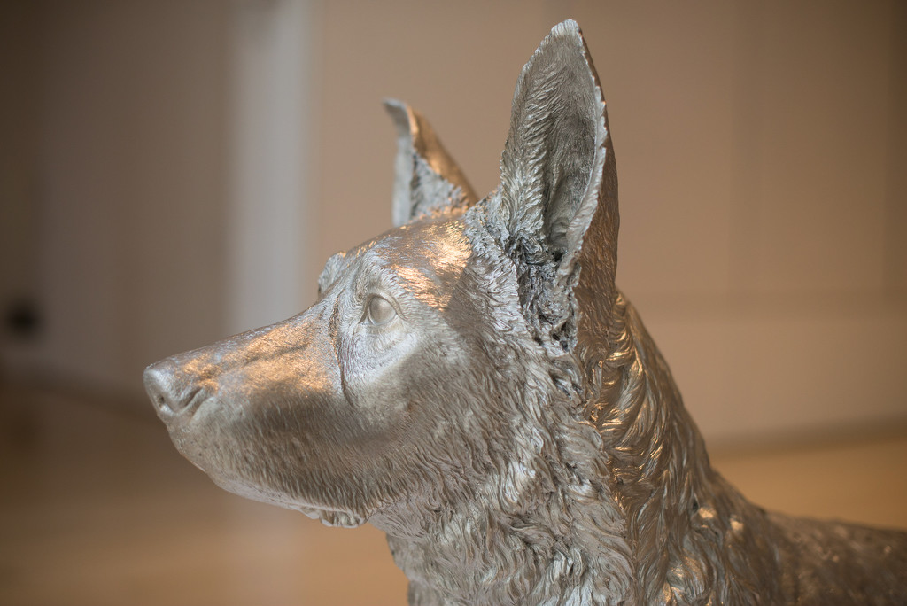 WolfSculpture by taffy