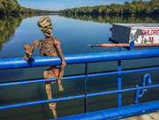 21st Oct 2015 - White's Ferry skeleton