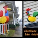 Chickens on the Loose! by homeschoolmom
