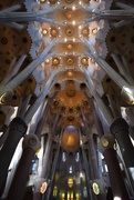 27th Nov 2015 - Sagrada Familia