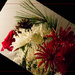 Christmas flowers by randystreat