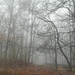 Fog Moving In by jo38