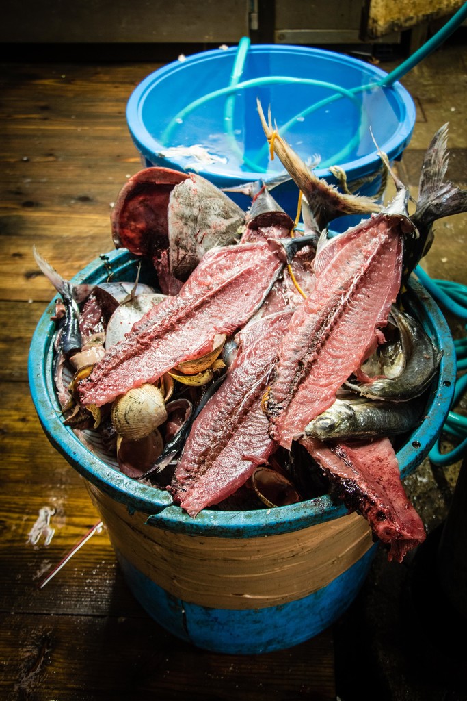 Fish Stock Ingredients by darylo