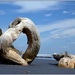 Beach sculpture by dide