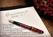 31st Dec 2015 - Resolutions 