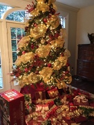 29th Dec 2015 - Bobbie's Tree