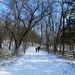 Snow Trail by randy23