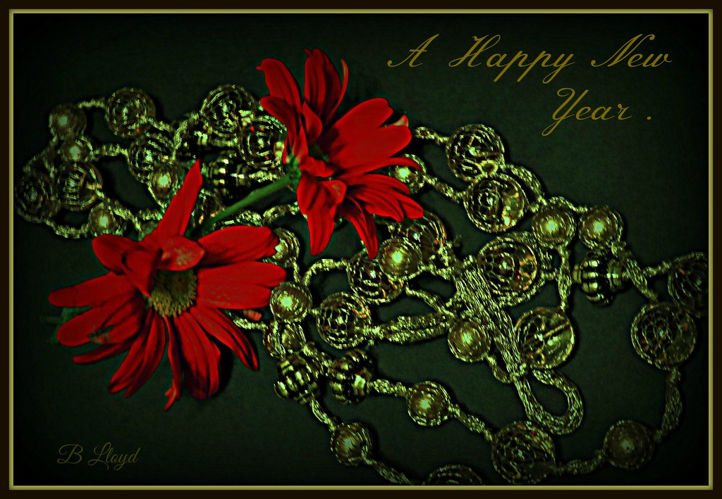 A Happy New Year - Blwyddyn Newydd Dda  by beryl