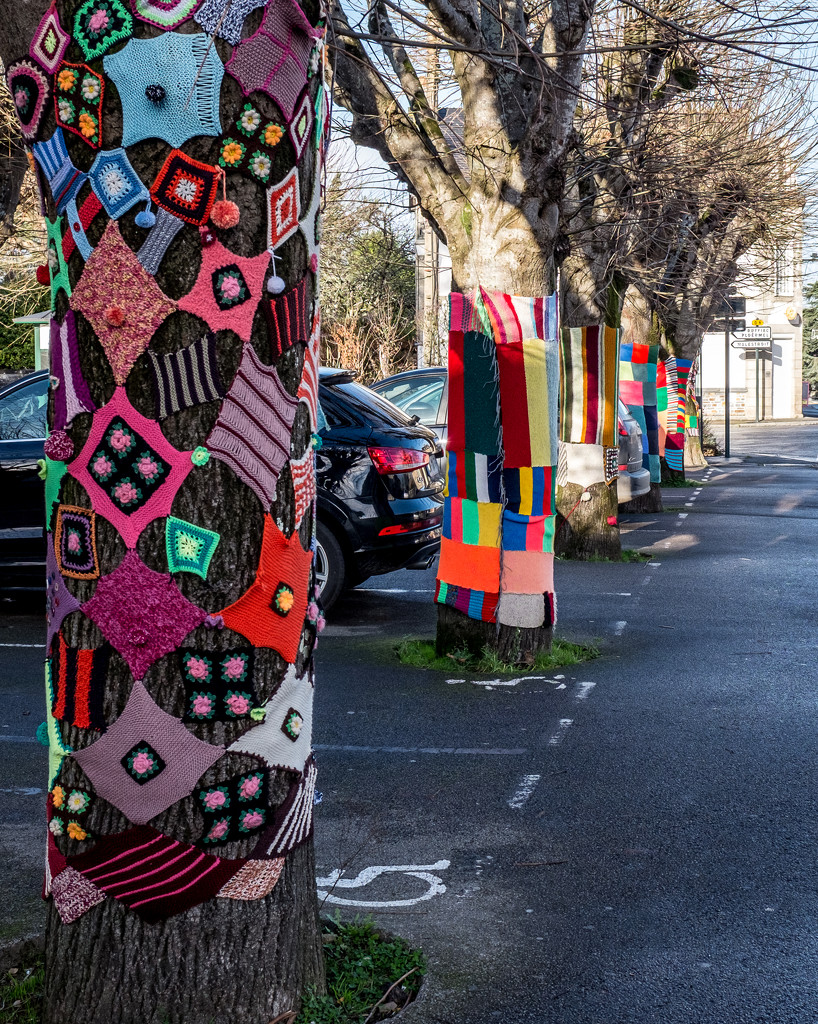A Year of Days - Day 365: Yarn Bombing by vignouse