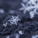 tiny snowflake by aecasey