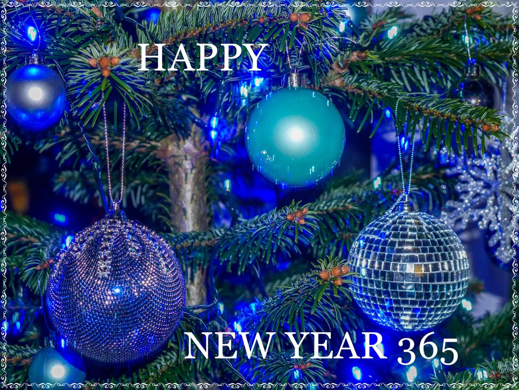Wishing Everyone A Happy New Year by carolmw