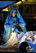 1st Jan 2016 - Solemnity of Mary, Mother of God