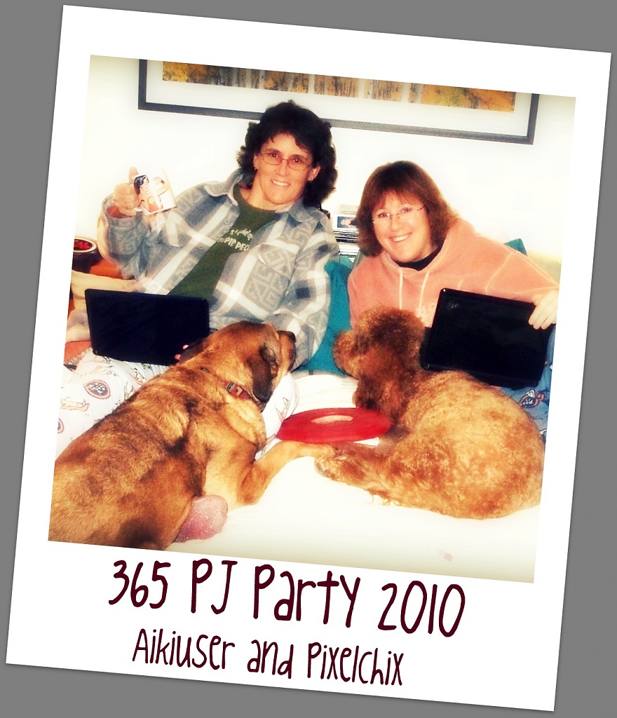 PJ Party 2010 by aikiuser