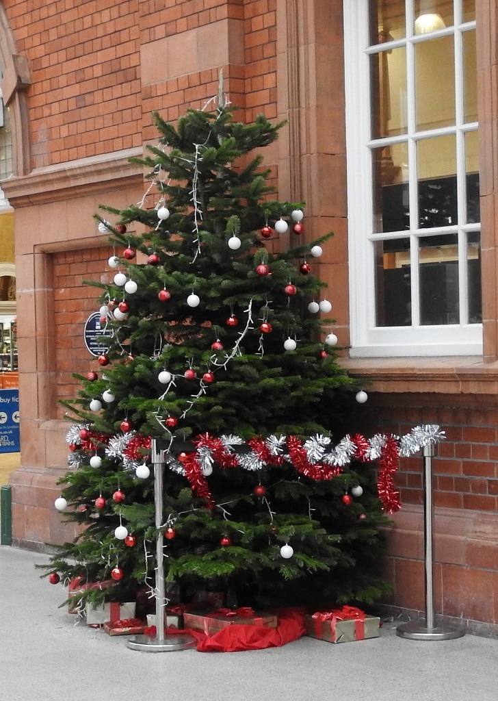 Christmas Tree Nottingham Station by oldjosh