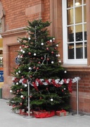 30th Dec 2015 - Christmas Tree Nottingham Station