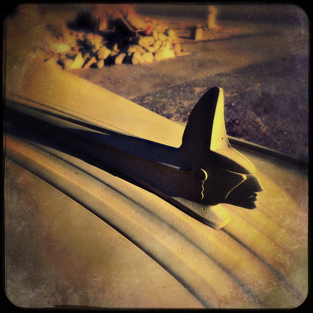 Hood Ornament by jeffjones