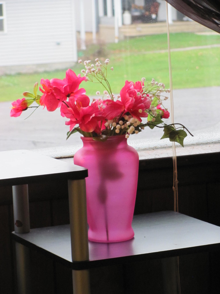 Pink Vase by julie