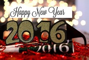 2nd Jan 2016 - Happy New Year
