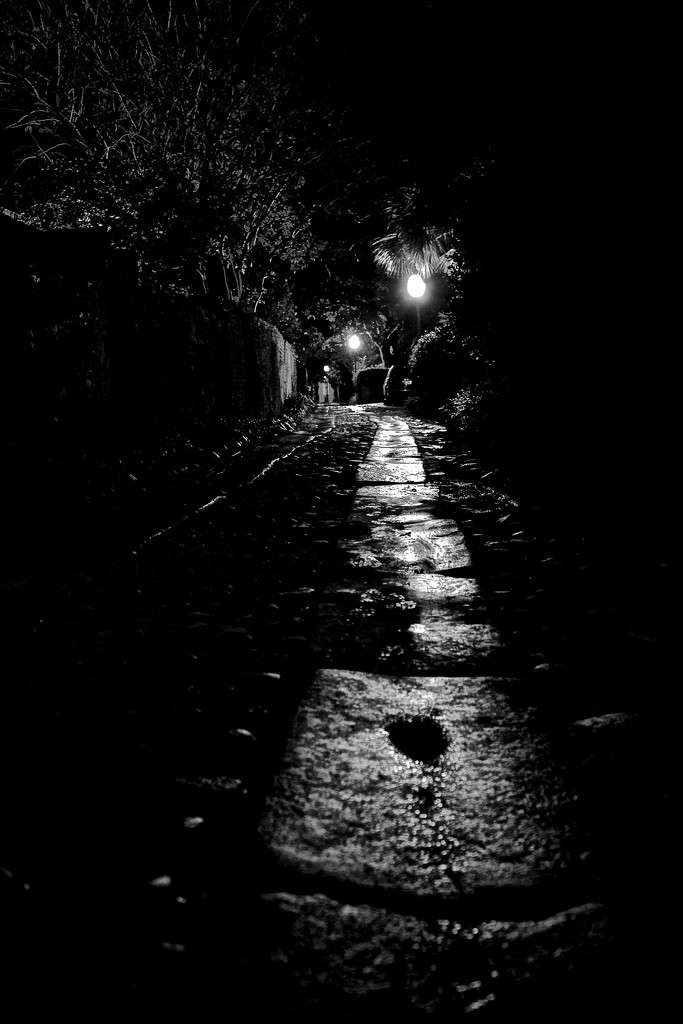 Charleston Night Walk through the Alleys by jyokota