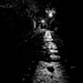Charleston Night Walk through the Alleys by jyokota