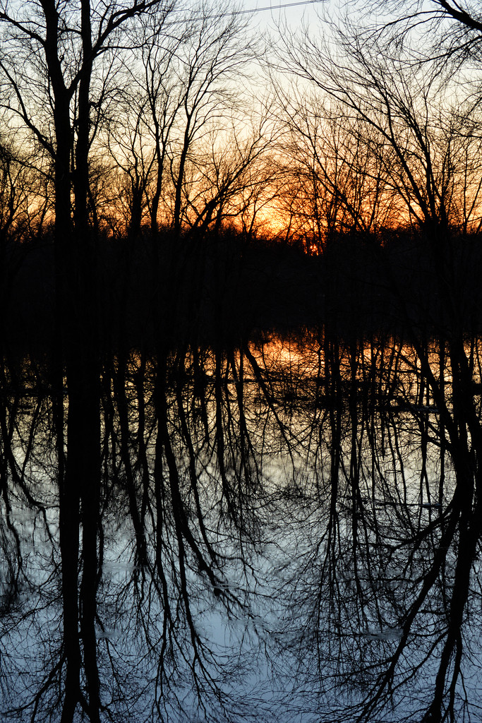 Flooding, reflections, Sunset. by lsquared