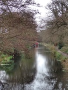 3rd Jan 2016 - Canal