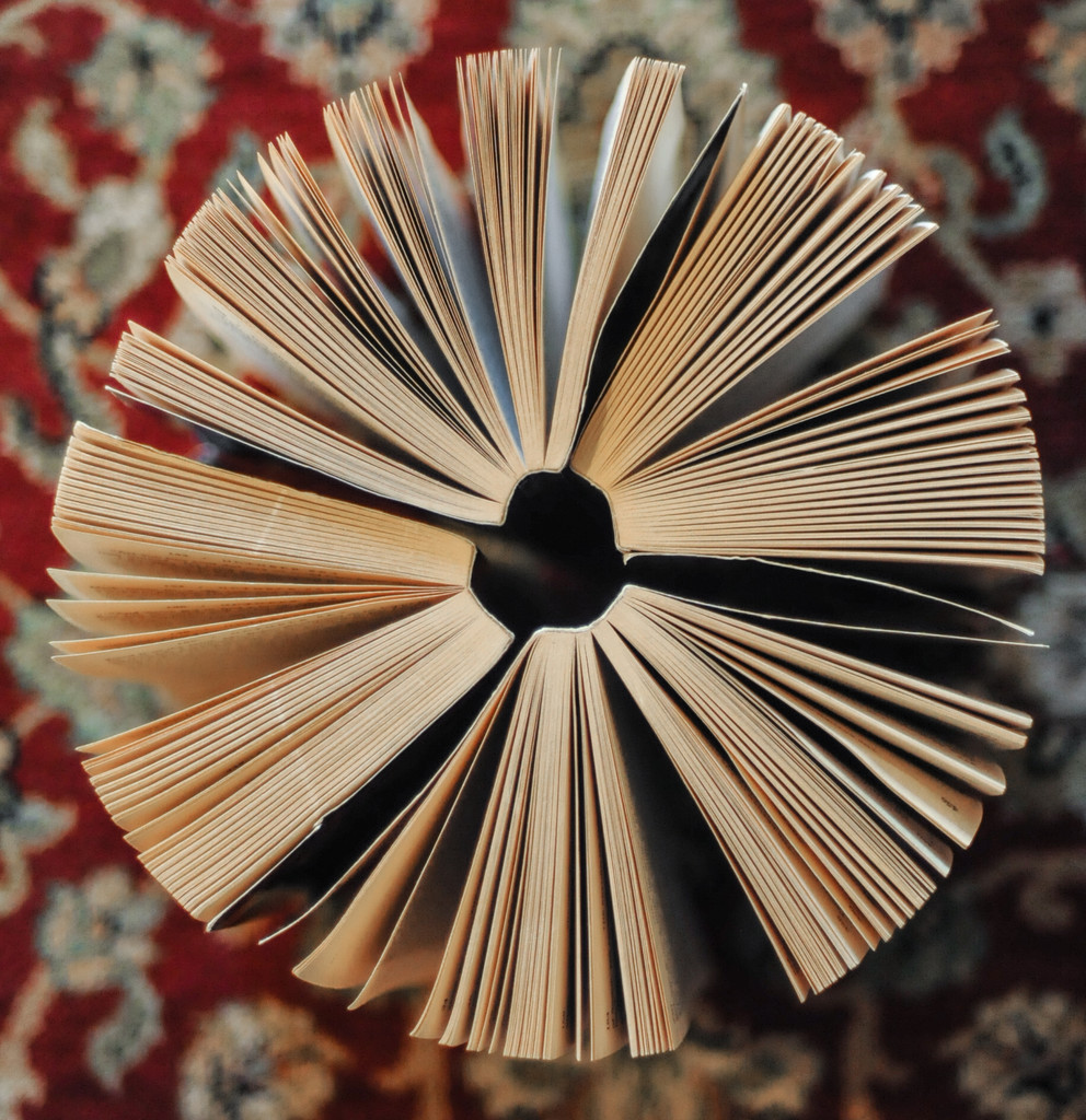 Book wheel by loweygrace