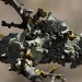 Overlapping Lichens by robv