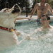 Dogs, Pools, and Giant Papier Mache Heads by erinhull