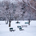 Winter in its beauty by dora
