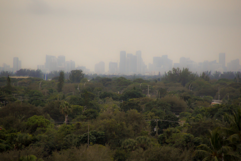 Miami skyline by danette