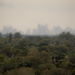 Miami skyline by danette