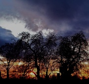 26th Nov 2010 - Headingley Sunset