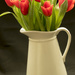 Tulips  by bizziebeeme