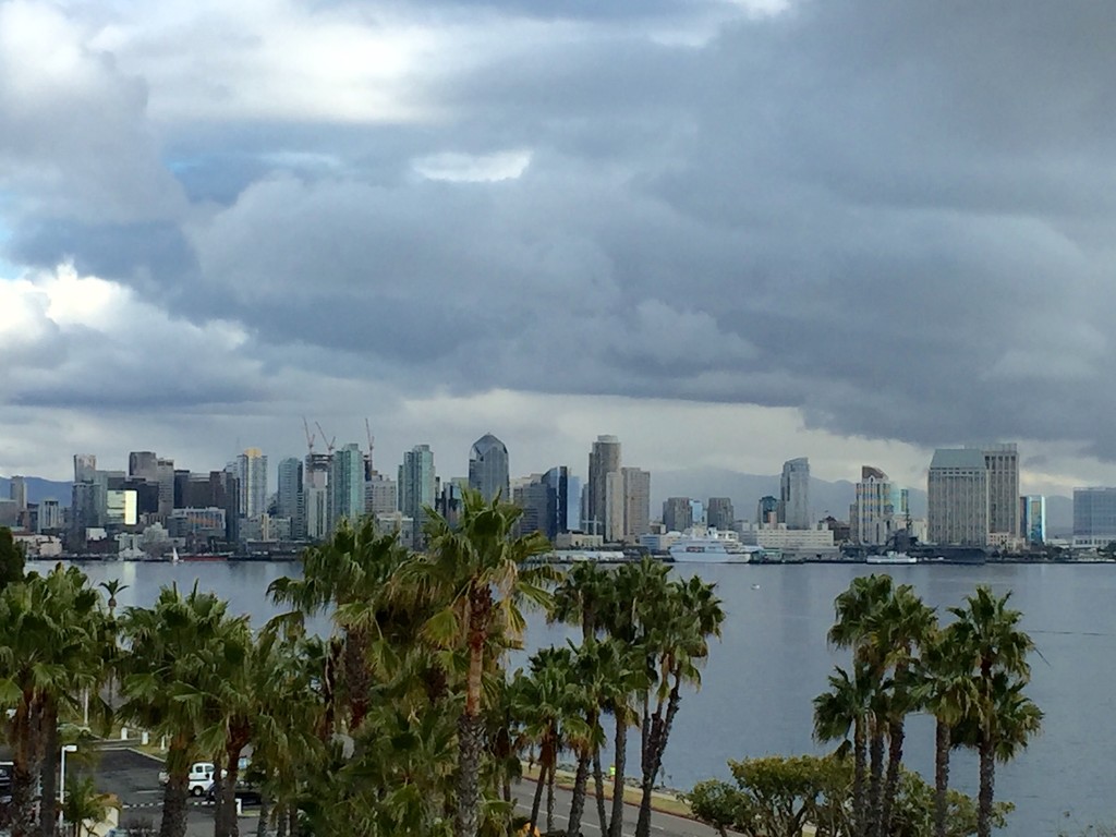 San Diego Skyline by graceratliff