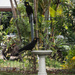 Yellow tailed black cockatoos by jeneurell