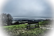 5th Jan 2016 - The Bench