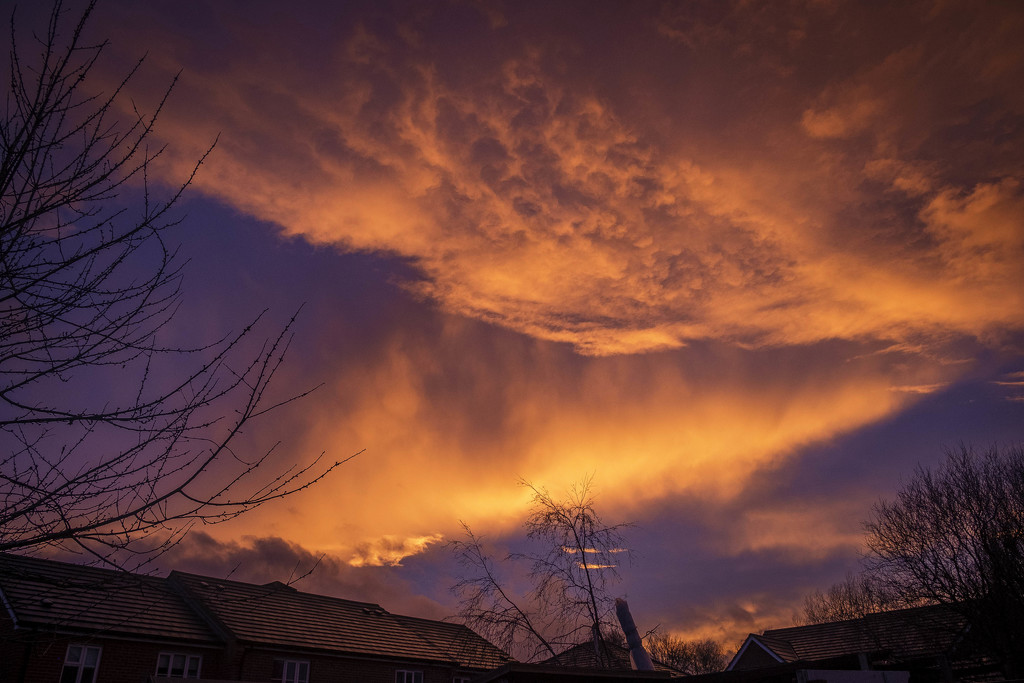 Day 351, Year 3 - The Sky Was On Fire by stevecameras