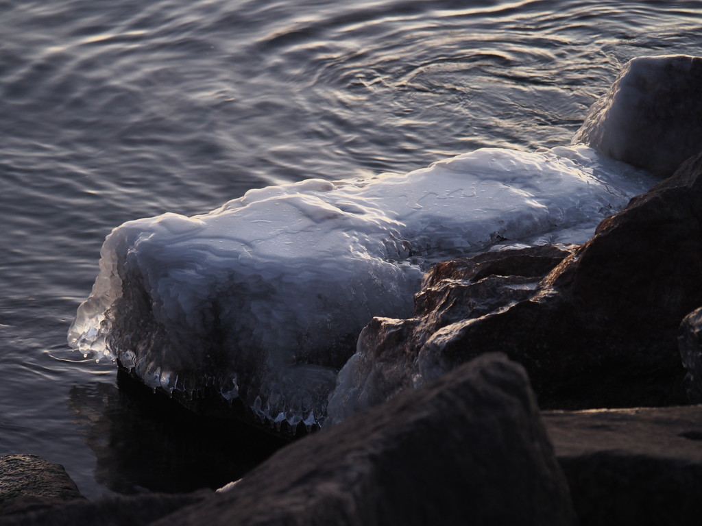 First Ice on the Rocks by selkie