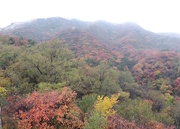 30th Oct 2015 - China in October