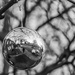 Reflections on Christmas Ball by jbritt