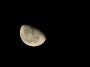 26th Nov 2010 - Half Moon