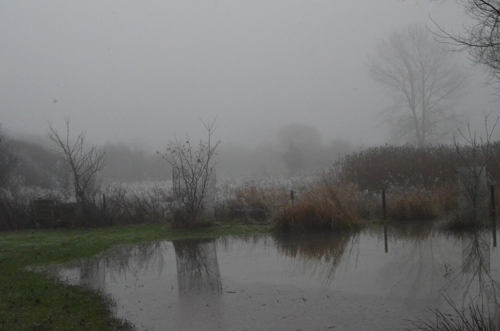 A Foggy Day by arkensiel