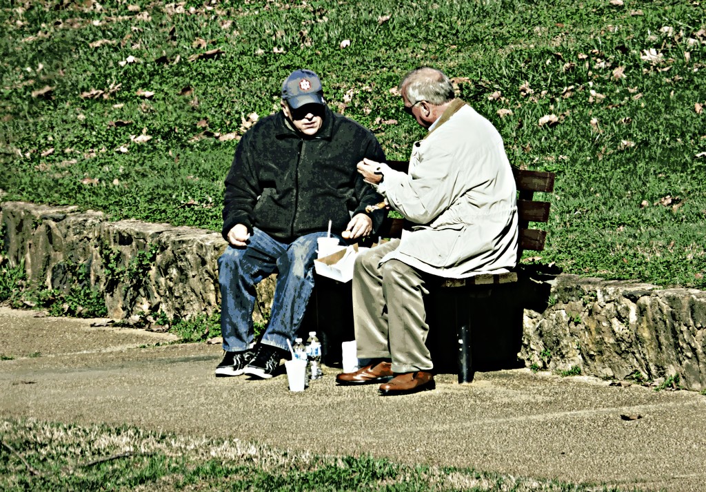Lunch in the Park by peggysirk