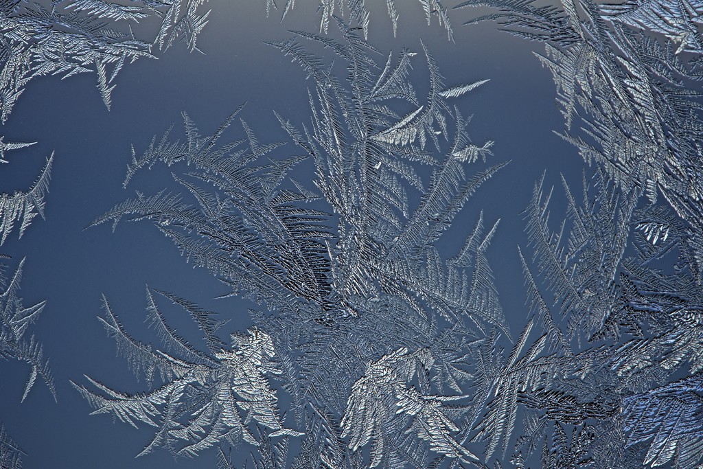 Ice Crystals by kwind