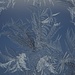 Ice Crystals by kwind