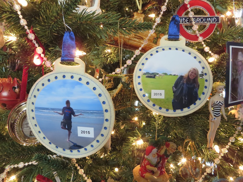 This year's picture ornaments by margonaut