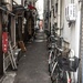 On the Way to Asakusa -- Japan Series, Day 2 by darylo