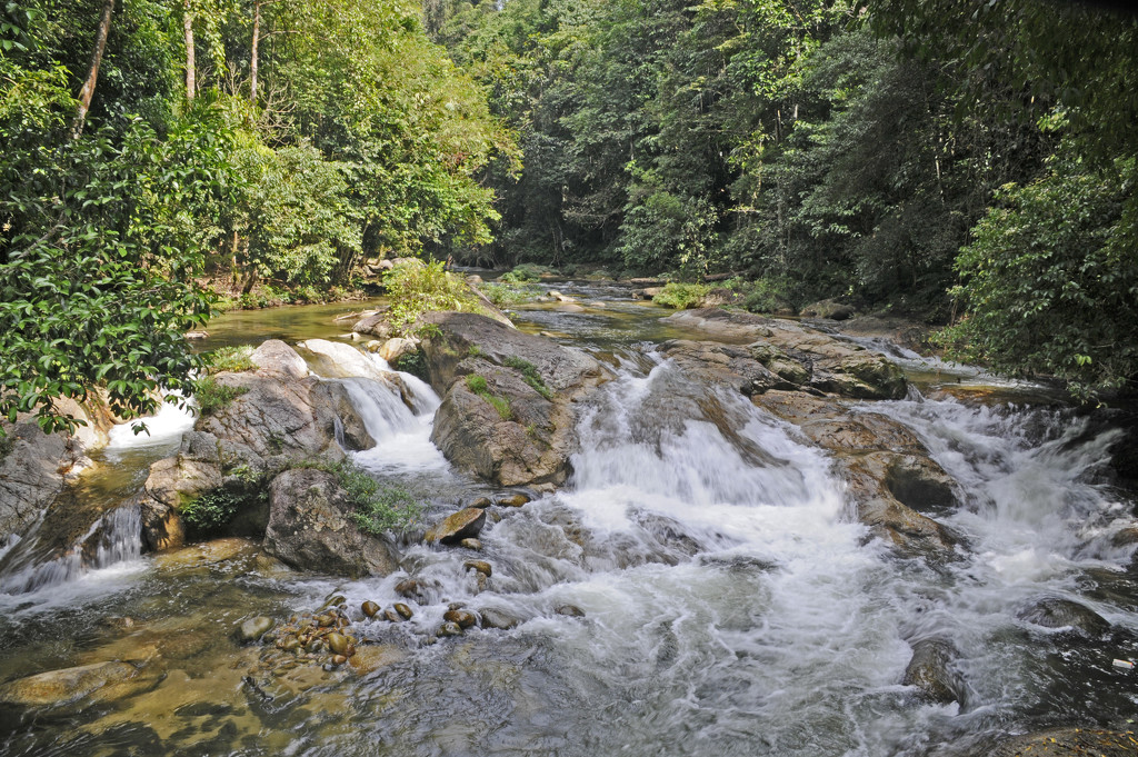 Rainforest Waterfall Sungai Sedim by ianjb21